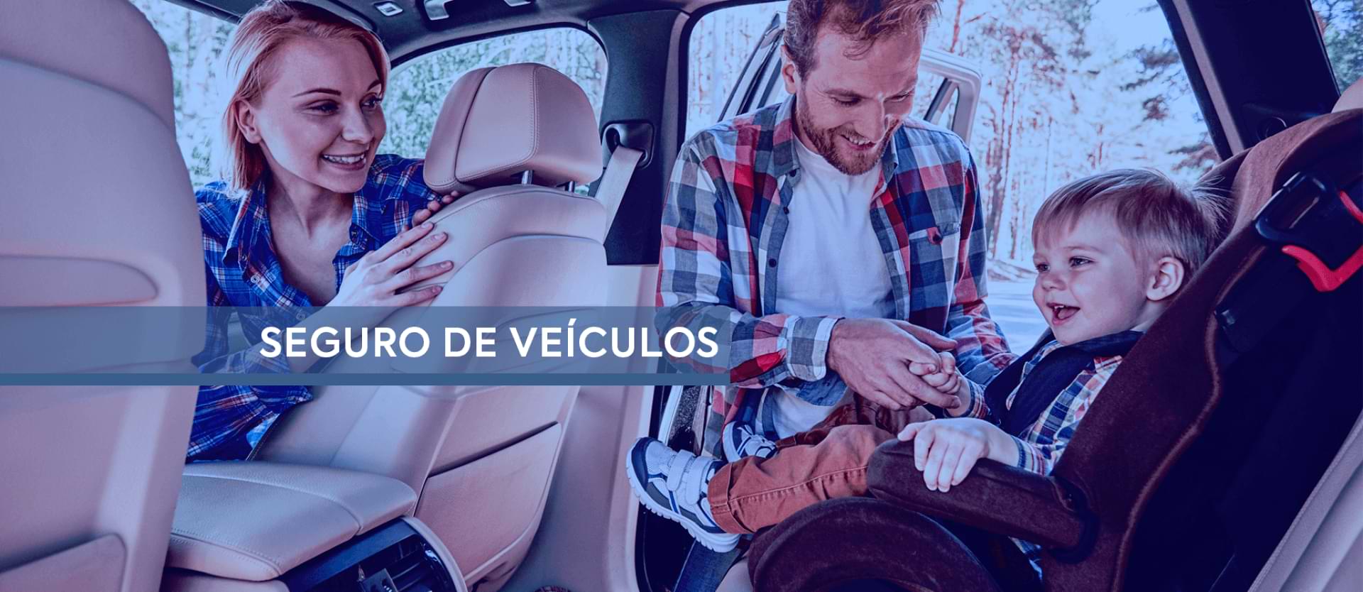 Seguro de Veículos