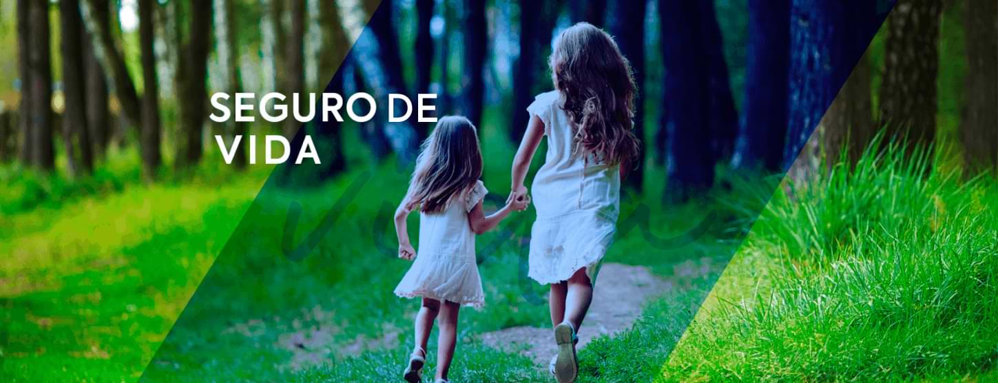 Seguro de Vida